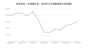 2024年8月丰田凯美瑞销量多少？ 在哪个城市卖得最好？