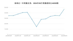 2024年8月比亚迪海鸥销量多少？ 在哪个城市卖得最好？