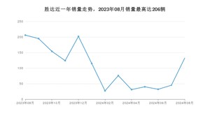 2024年8月现代胜达销量多少？ 在哪个城市卖得最好？