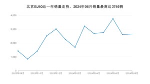 2024年8月北京BJ40销量多少？ 在哪个城市卖得最好？