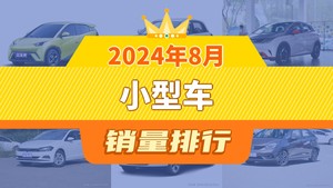 2024年8月小型车销量排行榜，海鸥夺得冠军，第二名差距也太大了 