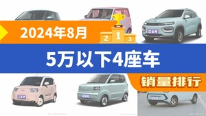 2024年8月5万以下4座车销量排行榜，熊猫mini位居第二，第一名你绝对想不到