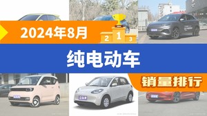 2024年8月纯电动车销量排行榜，海鸥以46830辆夺冠，Model 3升至第6名 