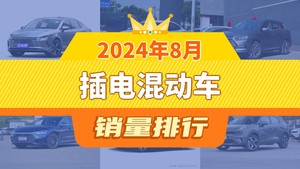 2024年8月插电混动车销量排行榜，秦PLUS位居第二，第一名你绝对想不到