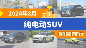 2024年8月纯电动SUV销量排行榜，元PLUS位居第二，第一名你绝对想不到