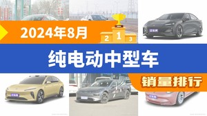 2024年8月纯电动中型车销量排行榜，Model 3以18126辆夺冠