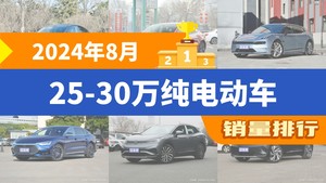 2024年8月25-30万纯电动车销量排行榜，Model Y夺得冠军，第二名差距也太大了 