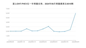 2024年9月魏牌蓝山DHT-PHEV销量数据发布 共卖了6019台