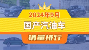 2024年9月国产汽油车销量排行榜，瑞虎8屈居第三，艾瑞泽8成最大黑马