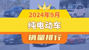 2024年9月纯电动车销量排行榜，Model Y以48202辆夺冠，熊猫mini升至第7名 