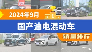 2024年9月国产油电混动车销量排行榜，传祺M8位居第二，第一名你绝对想不到