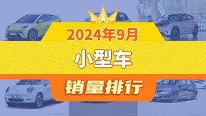 2024年9月小型车销量排行榜，海豚屈居第三，钇为3成最大黑马