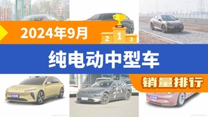 2024年9月纯电动中型车销量排行榜，Model 3夺得冠军，第二名差距也太大了 