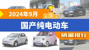 2024年9月国产纯电动车销量排行榜，海鸥以47915辆夺冠，熊猫mini升至第5名 