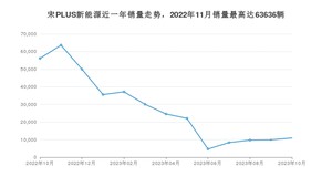 2023年10月比亚迪宋PLUS新能源销量数据发布 共卖了10950台