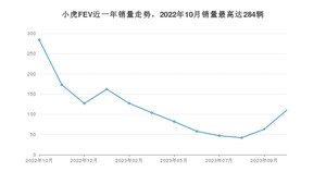 2023年10月小虎FEV销量多少？ 在哪个城市卖得最好？