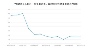 2023年10月电动屋YOUNG光小新销量数据发布 共卖了161台