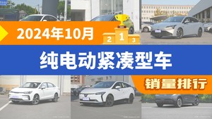 2024年10月纯电动紧凑型车销量排行榜，Aion S Plus屈居第三，羿成最大黑马