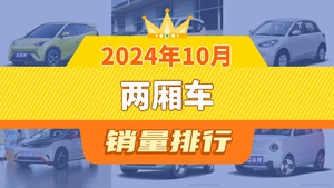 2024年10月两厢车销量排行榜，宏光MINI EV位居第二，第一名你绝对想不到