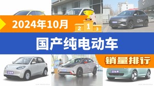 2024年10月国产纯电动车销量排行榜，海鸥以51288辆夺冠