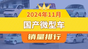 2024年11月国产微型车销量排行榜，熊猫mini位居第二，第一名你绝对想不到