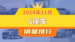 2024年11月6座车销量排行榜，ZEEKR 009屈居第三，世纪成最大黑马