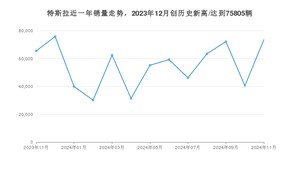 11月特斯拉销量情况如何? 众车网权威发布(2024年)