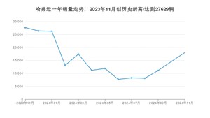 哈弗 11月份销量数据发布 同比下降35.01%(2024年)
