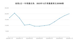 2024年11月大众途观L销量多少？ 在哪个城市卖得最好？