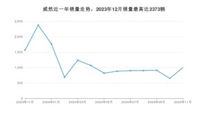 2024年11月大众威然销量数据发布 共卖了1000台