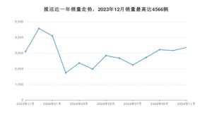 2024年11月大众揽巡销量多少？ 在哪个城市卖得最好？