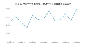 2024年11月北京BJ40销量如何？ 在SUV车型中排名怎么样？