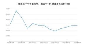 2024年11月日产奇骏销量多少？ 在哪个城市卖得最好？