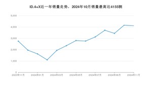 2024年11月大众ID.4 X销量多少？ 在哪个城市卖得最好？