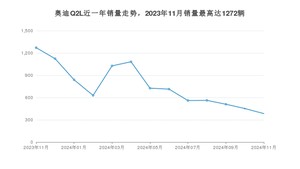 2024年11月奥迪Q2L销量多少？ 在哪个城市卖得最好？