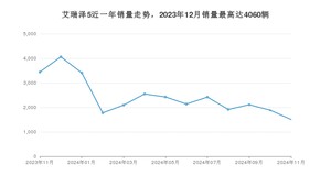 2024年11月奇瑞艾瑞泽5销量多少？ 在哪个城市卖得最好？