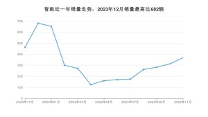 2024年11月起亚智跑销量数据发布 共卖了369台