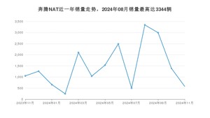 2024年11月奔腾NAT销量数据发布 共卖了579台