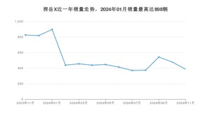 2024年11月大众探岳X销量多少？ 在哪个城市卖得最好？
