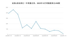 2024年11月大众途观L新能源销量多少？ 在哪个城市卖得最好？
