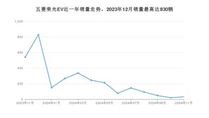 2024年11月五菱荣光EV销量数据发布 共卖了31台