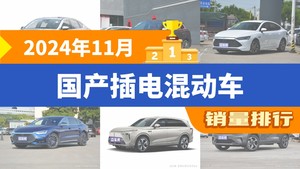 2024年11月国产插电混动车销量排行榜，秦PLUS屈居第三，蓝山DHT-PHEV成最大黑马