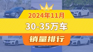 2024年11月30-35万车销量排行榜，Model Y夺得冠军，第二名差距也太大了 