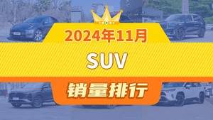 2024年11月SUV销量排行榜，Model Y夺得冠军，第二名差距也太大了 