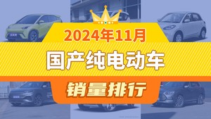 2024年11月国产纯电动车销量排行榜，海鸥以56156辆夺冠，深蓝S7升至第9名 