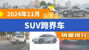 2024年11月SUV跨界车销量排行榜，探岳X位居第二，第一名你绝对想不到