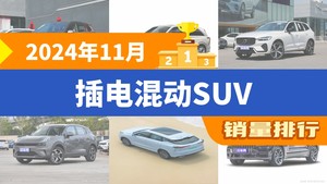 2024年11月插电混动SUV销量排行榜，宋PLUS新能源夺得冠军，第二名差距也太大了 