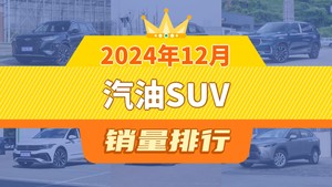 2024年12月汽油SUV销量排行榜，星越L屈居第三，途观L成最大黑马