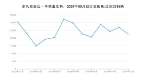 东风启辰 12月份销量数据发布 同比下降26.18%(2024年)