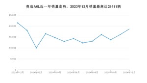 2024年12月奥迪A6L销量如何？ 在中大型车车型中排名怎么样？